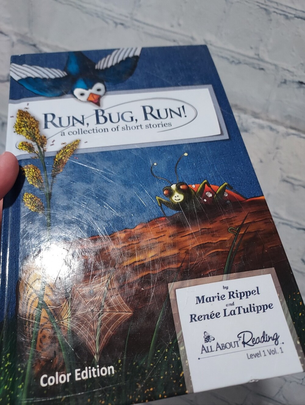 All About Reading Level 1 Reader Run, Bug Run! The Runt Pig, Cobweb The Cat FAIR - Picture 8 of 14